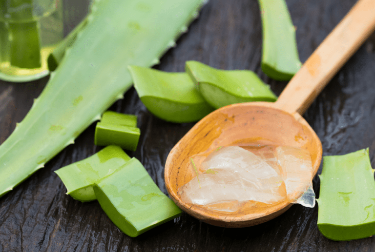 8 Best Aloe Vera Shampoo Products A Complete Guide Hair Kempt
