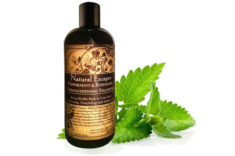 Natural Essence Peppermint and Rosemary Strengthening Shampoo