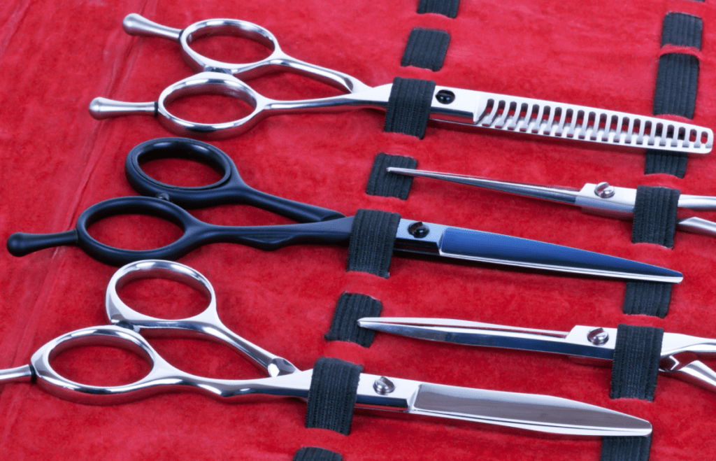 Thinning Scissors 1