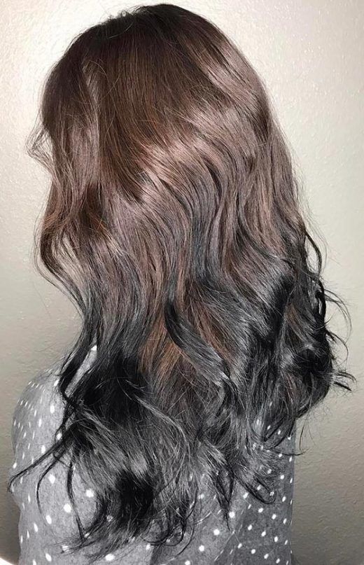 Chestnut Brown and Black Ombre